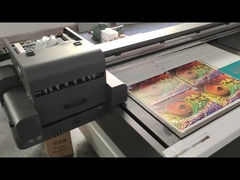 Número de producción 4